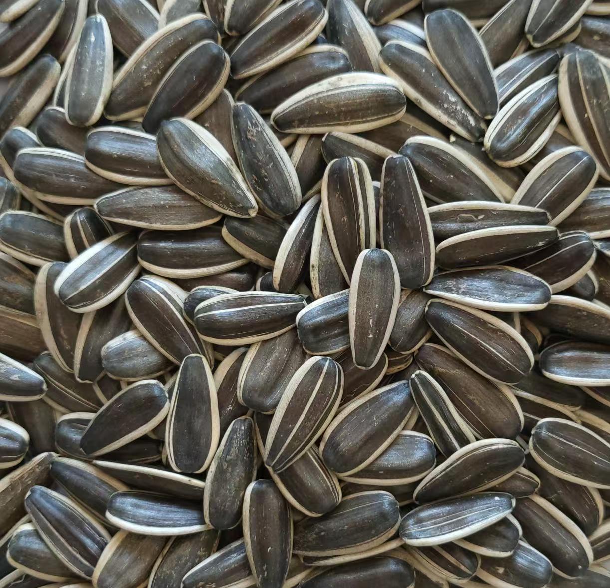 363