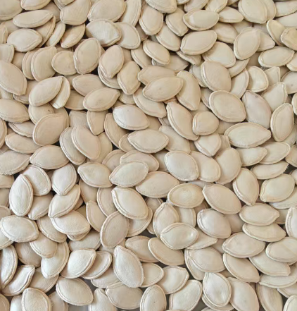 Pumpkin Seeds