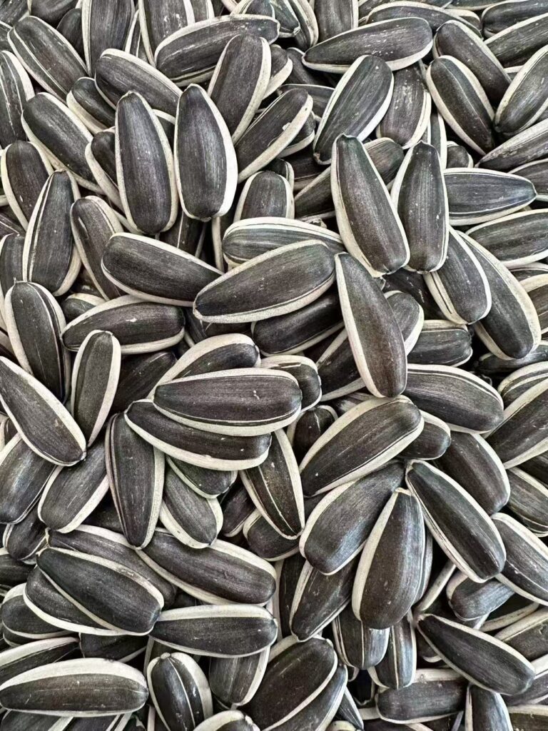 Sunflower Seeds Type T6